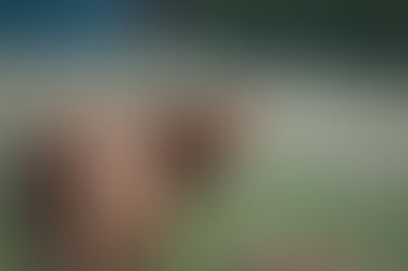 9. Oktober 22 - Patentreffen bei unseren Tieren in Alsfeld! ❤