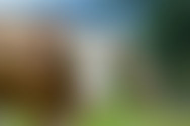 Besuchertag bei unseren Tieren rund um Fulda. ❤