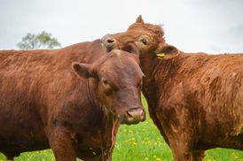 Maximilian mit seiner Tochter Fenja ❤️