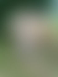 Ein sehr tragisches Unglück erschüttert uns! 😢🖤