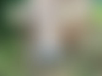 Ein sehr tragisches Unglück erschüttert uns! 😢🖤