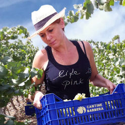 Marilena Barbera: vignaioli indipendenti alla riscossa!
