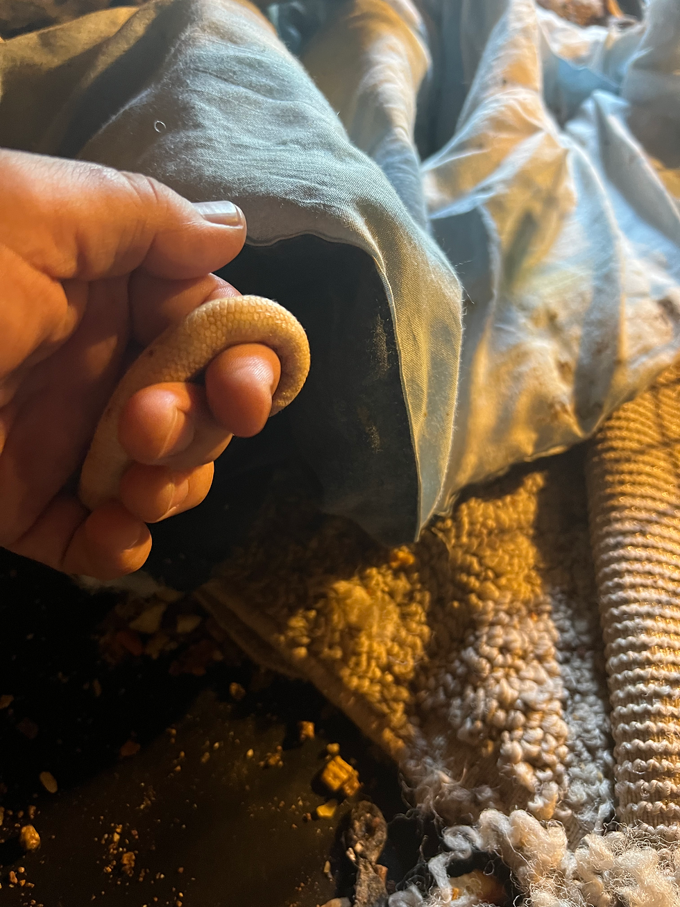 Poopies, tired and worn out, seemed to take comfort in holding my hand.