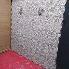 IMG_20220117_180620.jpg