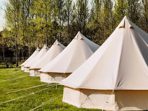 Creating Unforgettable Weddings with the Best in the Business ✨