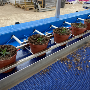 3-Axis RW32 Transplanter