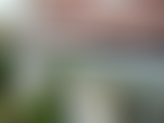 Trusted Gutter Installation Services for Florida Homeowners