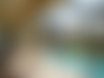 Why Choosing Quality Installation Over Price is Crucial for Your Screen Lanai in Florida