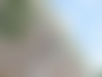 How Custom Seamless Aluminum Gutters Safeguard Your Home in Florida