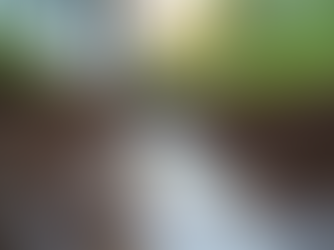 Understanding the Impact of Poor Drainage on Your Home Despite Gutters