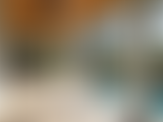 Transform Your Outdoor Space with a Cost-Effective Screen Lanai Solution