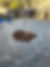 concrete-Patio-Installation-cost-5-min.jpeg