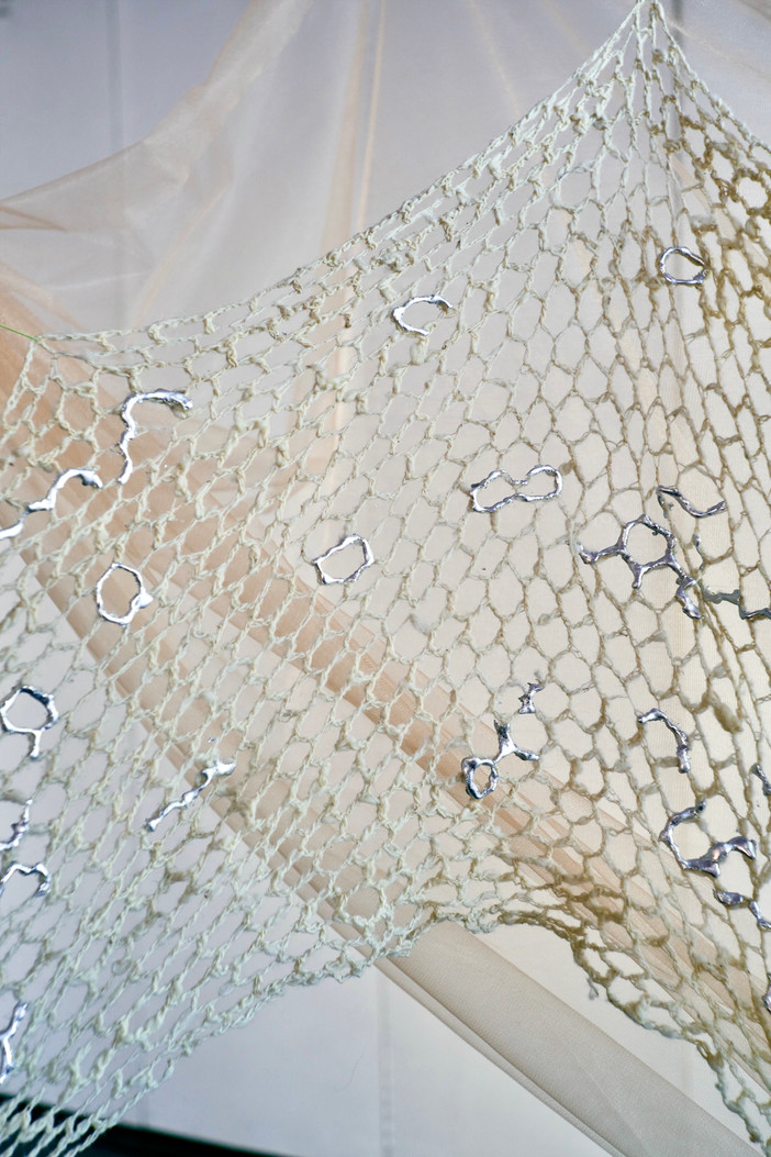 _DSC6170.jpeg