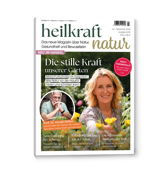 Titelblatt_3D-HN-3-26.png