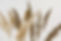 iStock-1398007125.jpg