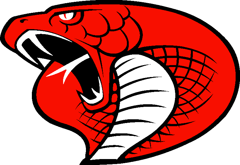 Cardiff Cobras