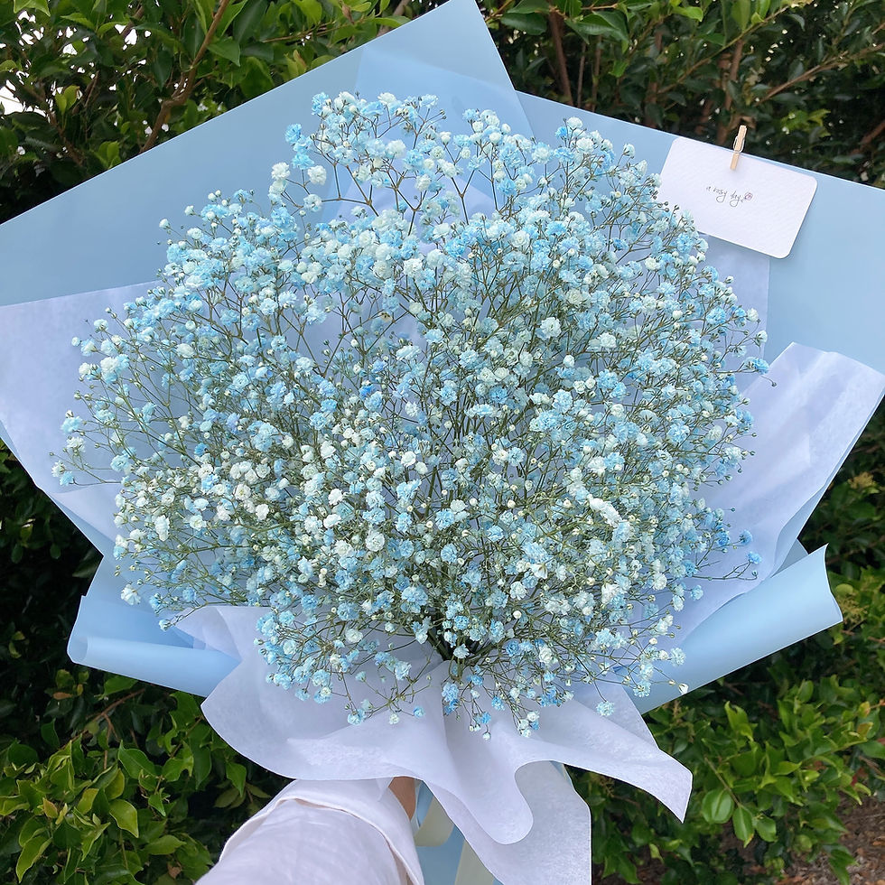 Thumbnail: Baby's Breath Bouquet