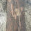 Thumbnail: VULCANO LUX 120 MAGMA 60X120CM