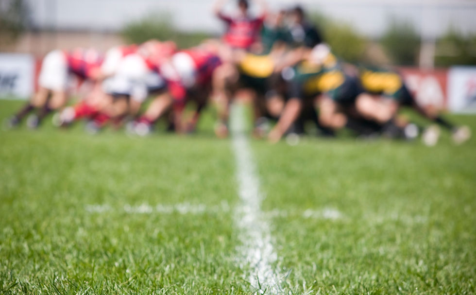 Rugby pitch sports turf services by CM Gardens