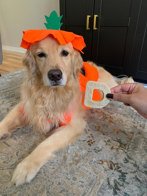 Natural Dog Treats