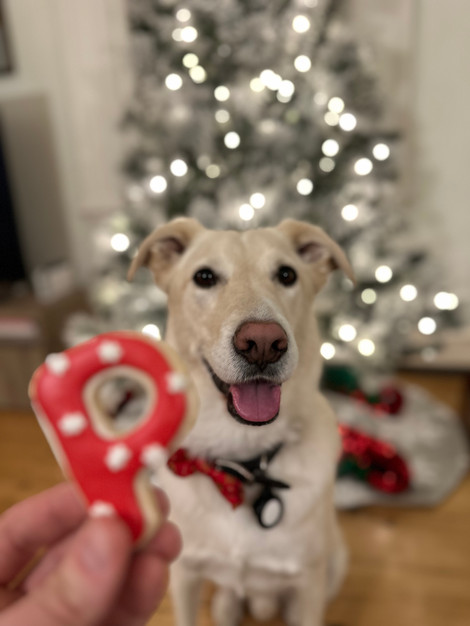 Custom dog treats