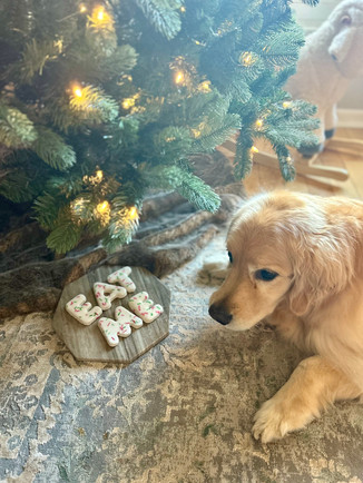 Dog Treats
