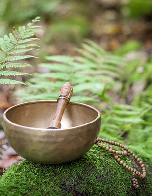 Klangschale auf vermoostem Baumstamm im Wald Buddhistisches Zentrum Arnsberg