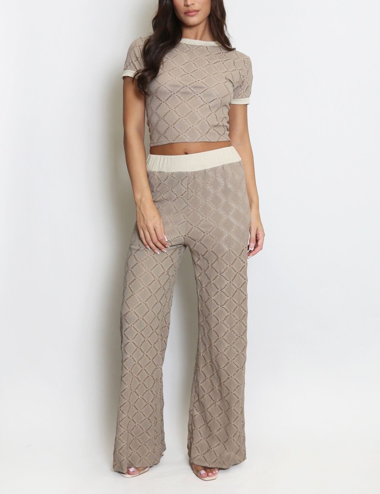 Ronnie Taupe Textured  Blouse And Wide Leg Trouser Set
