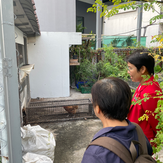Chicken coop entrance