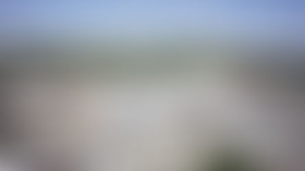 Pöttinger: A good result despite challenges