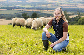 How Footvax helped control lameness on a county Wicklow farm
