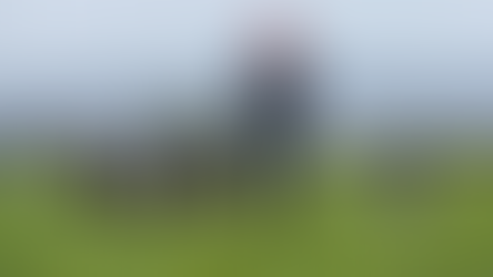 Life with SenseHub: Collars a 'gamechanger' for Carlow dairy farmer