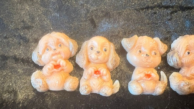 Adorable Micro Mini Fluffy Puppies