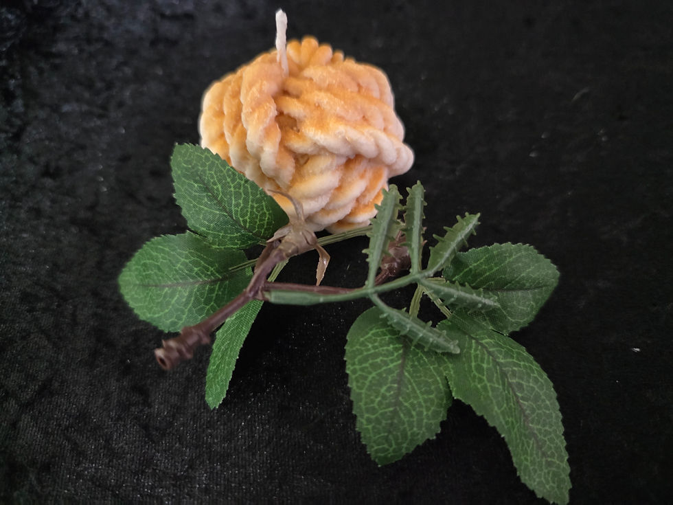 Thumbnail: Monkey Fist Knot Candle