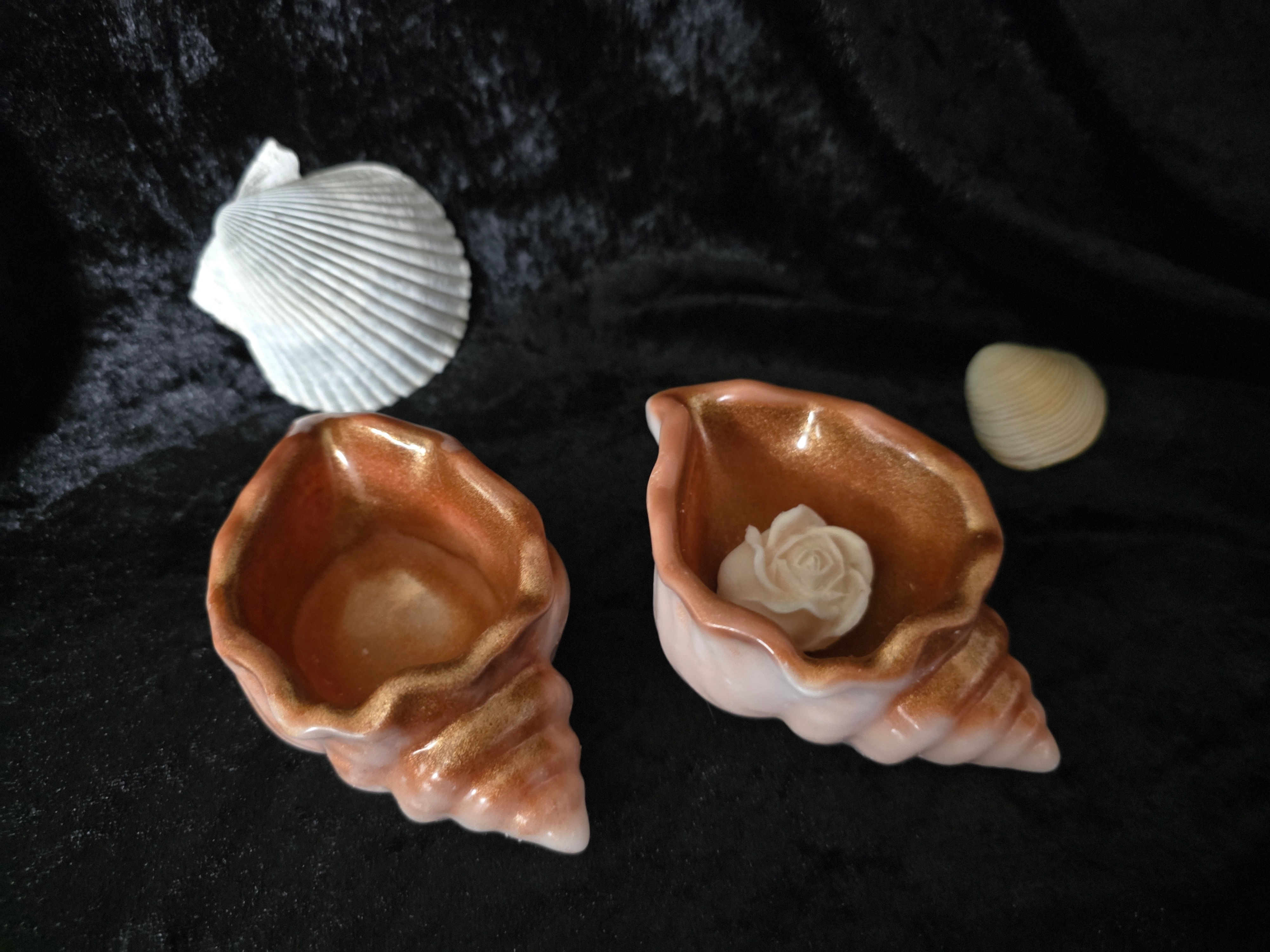 A beautifully crafted seashell home decor.