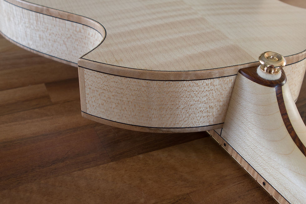 Venetian Mandolin 5