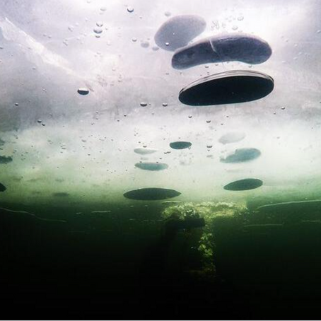 Tivoli: Alessandro Sabucci al concorso fotografico Dantebus per devolvere il premio a favore degli animali