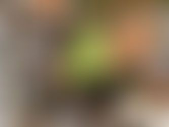 Setteville di Guidonia: Un'area di sosta breve alle spalle della scuola "Garibaldi"