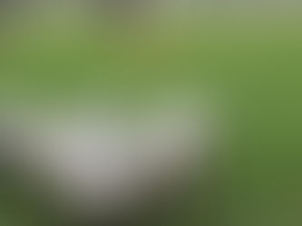 Nuovo Dpcm: In sintesi tutti gli obblighi e i divieti, stop ai campionati dilettantistici