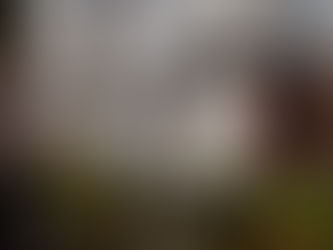 Guidonia Montecelio: Un diktat per evitare lo spreco di acqua