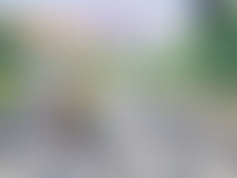 Tivoli: Sicurezza stradale, domani una giornata che può salvare vite