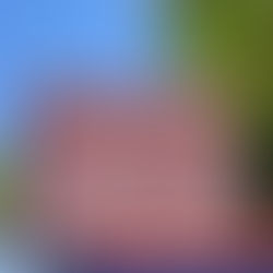 Villa Adriana: Nasce il “Parco Paolo Carosi”, domani l’inaugurazione aperta a tutti