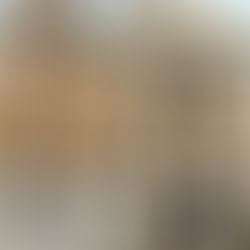 Tivoli: Consiglio Comunale straordinario tra emergenze e nuove mozioni