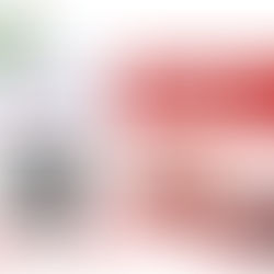 Guidonia Montecelio: Proseguono gli interventi di disinfestazione e derattizzazione