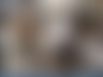 Guidonia Montecelio vota il Sindaco: in arrivo le pagelle del mondo animalista