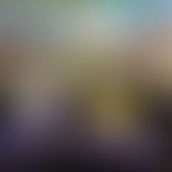 Coloriamo l’Anima: Tivoli unita contro la violenza di genere