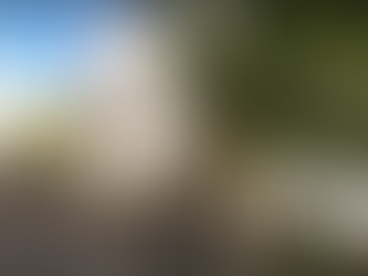 Tivoli: Finanziamento del MIUR per l'affitto di strutture temporanee a uso scolastico