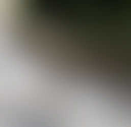 Tivoli: Villa D'Este, emerso un mosaico durante alcuni interventi di restauro