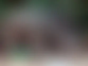 Tivoli: Allarme cinghiali, sicurezza a rischio, servono interventi urgenti