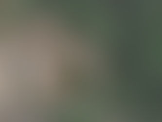 Tivoli: Auditorium e parcheggio ex cartiera Amicucci, presentato il bando di progettazione